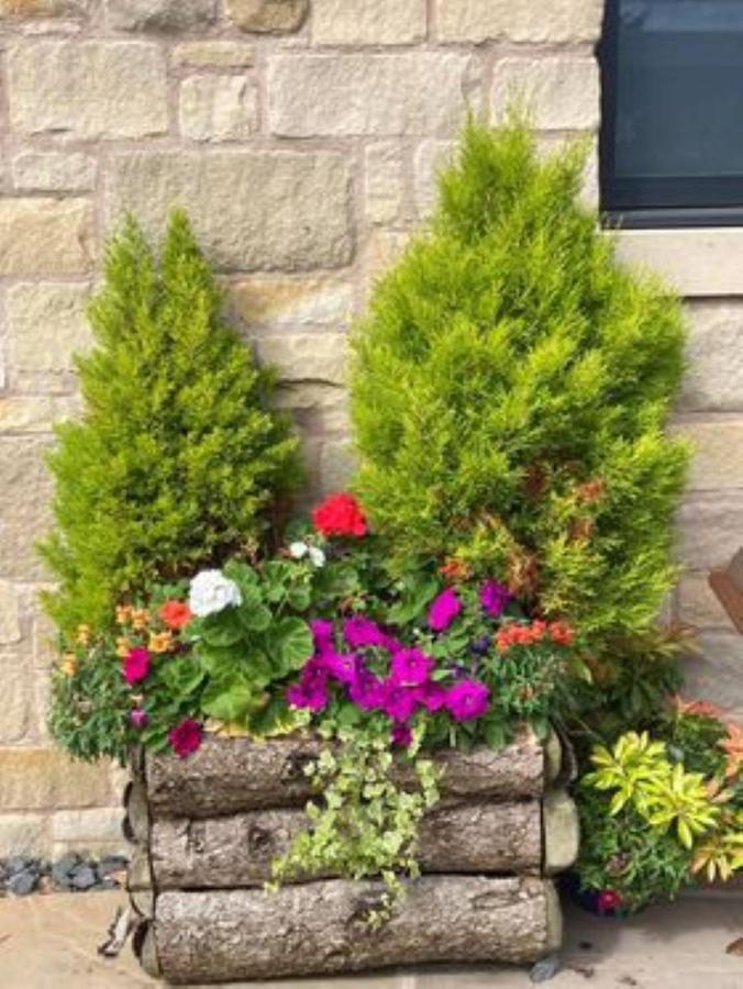 Norham The Masons Arms B&B 외부 사진